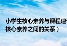 小学生核心素养与课程建设（如何看待核心素养和小学生的核心素养之间的关系）