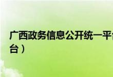 广西政务信息公开统一平台查询（广西政务信息公开统一平台）