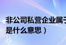 非公司私营企业属于公司吗（非公司私营企业是什么意思）