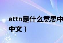 attn是什么意思中文翻译（attn是什么意思中文）