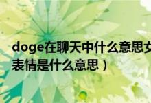 doge在聊天中什么意思女生给你发dogeqq表情（发doge表情是什么意思）