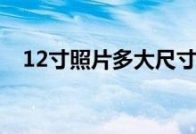 12寸照片多大尺寸厘米（12寸照片多大）