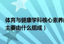 体育与健康学科核心素养的内容（体育与健康学科核心素养主要由什么组成）