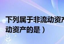 下列属于非流动资产的是哪些（下列属于非流动资产的是）