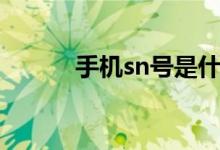 手机sn号是什么（sn号是什么）