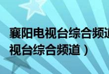 襄阳电视台综合频道直播今日播报（襄阳市电视台综合频道）