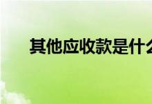 其他应收款是什么意思（其他应收款）