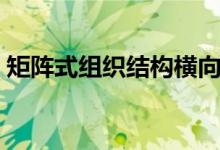 矩阵式组织结构横向纵向（矩阵式组织结构）