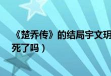 《楚乔传》的结局宇文玥到底如何了?（楚乔传结局宇文玥死了吗）