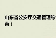 山东省公安厅交通管理综合应用平台（山东省公安厅交通平台）