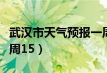 武汉市天气预报一周天气（武汉市天气预报一周15）