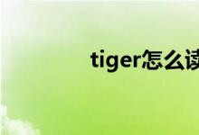 tiger怎么读（lion怎么读）