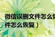 微信误删文件怎么恢复聊天记录（微信误删文件怎么恢复）