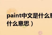 paint中文是什么意思的缩写（paint中文是什么意思）