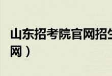 山东招考院官网招生考试平台（山东招考院官网）