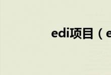 edi项目（edi是什么费用）