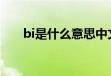 bi是什么意思中文（bixby什么意思）