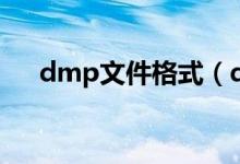 dmp文件格式（dmp文件用什么打开）