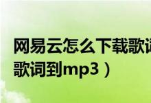 网易云怎么下载歌词到本地（网易云怎么下载歌词到mp3）