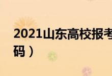 2021山东高校报考代码（山东省报考高校代码）