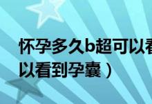 怀孕多久b超可以看见孕囊（怀孕多久b超可以看到孕囊）