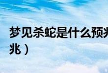 梦见杀蛇是什么预兆男人（梦见杀蛇是什么预兆）