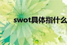 swot具体指什么（swot是什么意思）