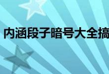 内涵段子暗号大全搞笑（内涵段子暗号大全）