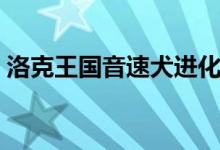 洛克王国音速犬进化材料（洛克王国音速犬）