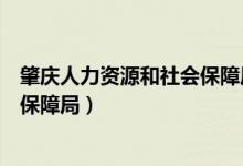 肇庆人力资源和社会保障局官网查询（肇庆人力资源和社会保障局）