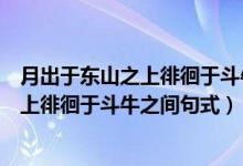 月出于东山之上徘徊于斗牛之间句式是什么（月出于东山之上徘徊于斗牛之间句式）