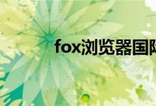 fox浏览器国际版（fox浏览器）