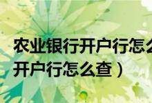 农业银行开户行怎么查询短信号码（农业银行开户行怎么查）