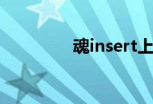 魂insert上卷（魂insert）