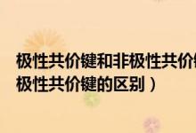 极性共价键和非极性共价键的区别是什么（极性共价键和非极性共价键的区别）