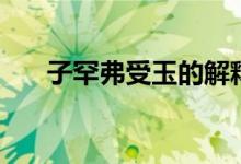 子罕弗受玉的解释（子罕弗受玉读音）