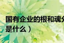 国有企业的根和魂分别是（国有企业的根和魂是什么）