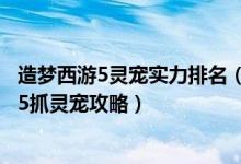 造梦西游5灵宠实力排名（造梦西游5灵宠怎么获得造梦西游5抓灵宠攻略）