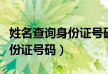 姓名查询身份证号码软件下载（按姓名查询身份证号码）