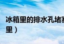 冰箱里的排水孔堵塞了怎么办视频教程（冰箱里）