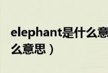 elephant是什么意思怎么读（elephant是什么意思）