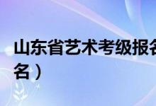 山东省艺术考级报名入口（山东省艺术考级报名）