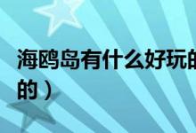 海鸥岛有什么好玩的景点（海鸥岛有什么好玩的）