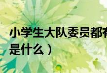 小学生大队委员都有哪些岗位（小学生大队委是什么）