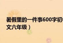 暑假里的一件事600字初中作文（暑假里的一件事600字作文六年级）