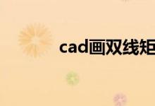 cad画双线矩形（cad画双线）