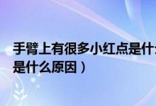 手臂上有很多小红点是什么原因图片（手臂上有很多小红点是什么原因）