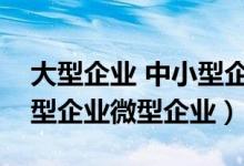 大型企业 中小型企业（大型企业中型企业小型企业微型企业）