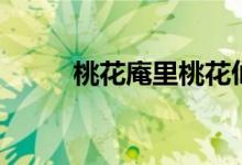 桃花庵里桃花仙这首诗（桃花庵）