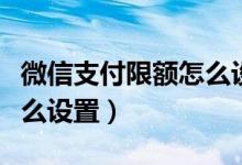 微信支付限额怎么设置零钱（微信支付限额怎么设置）